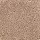 Mohawk Carpet: Soft Attraction II Traditional Tan